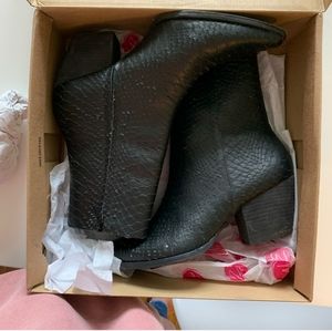 Matisse Caty boot black snakeskin 🖤